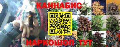 шишки Анапа